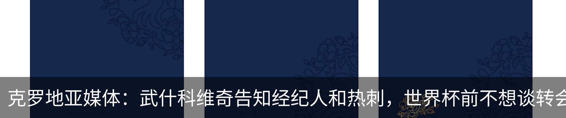 新闻动态
